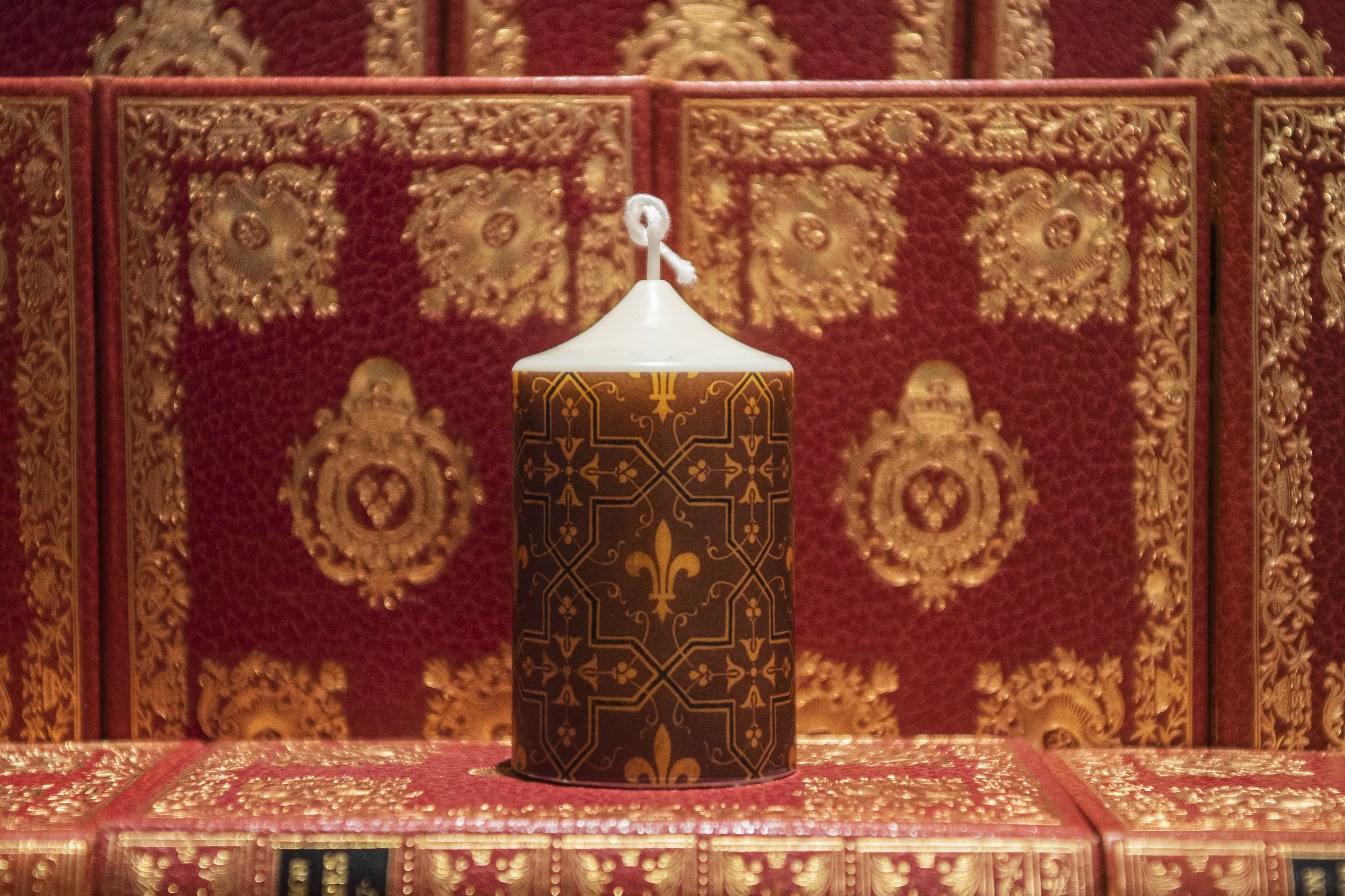 Chateau Royal de Blois - Décors muraux de Felix Duban