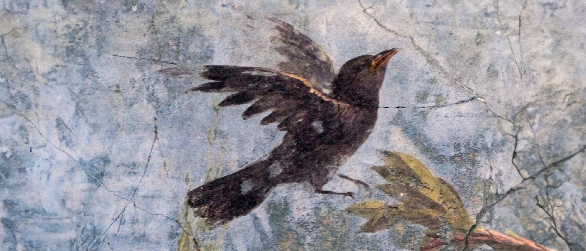 Villa Livia - Oiseau du Nymphée - Prima Porta Rome