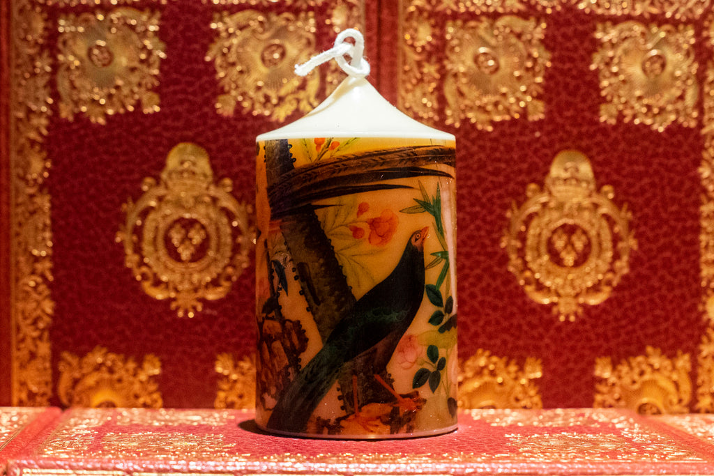 Compagnie des Indes: Toile Peinte aux oiseaux du  XVIII siècle. Oiseaux dans la jungle