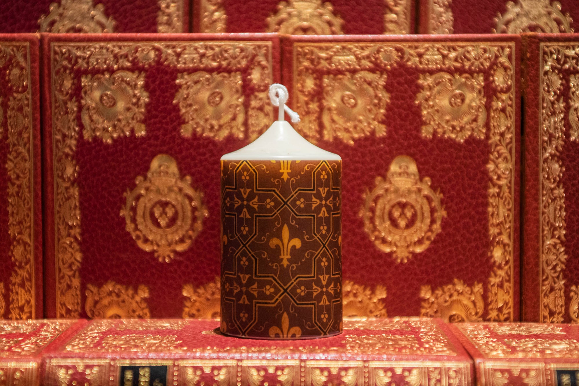 Chateau Royal de Blois - Décors muraux de Felix Duban