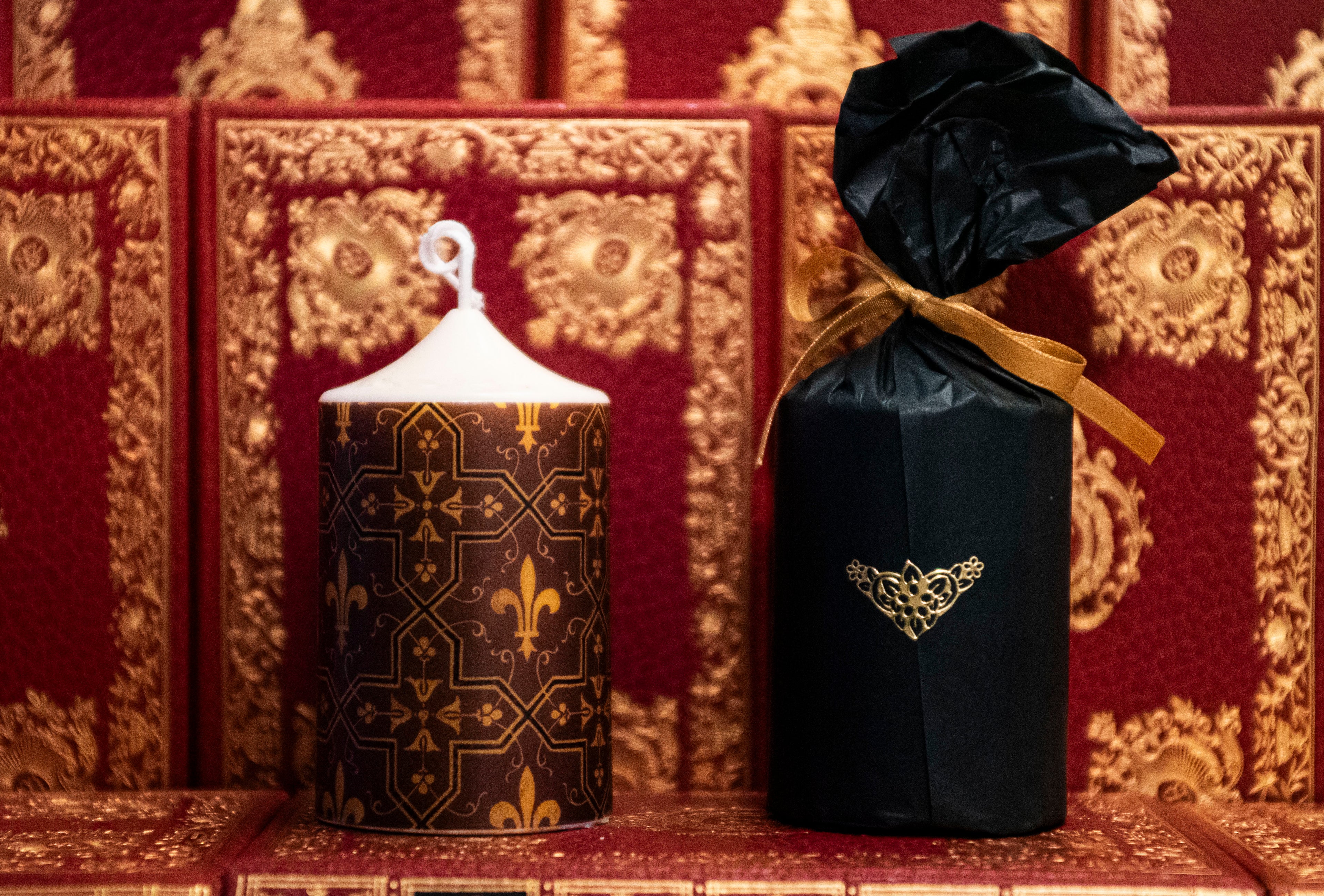 Chateau Royal de Blois - Decorazioni murali di Felix Duban