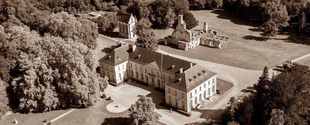 Domaine de Chaalis - Singeries de Chaalis 1 - XVIIIème siècle