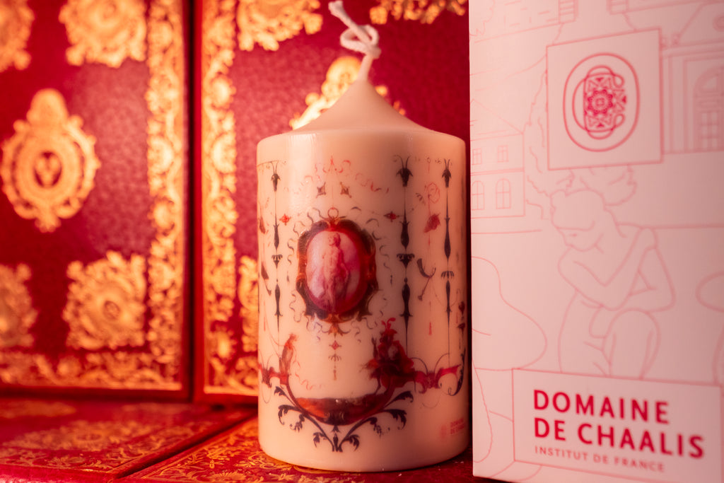 Domaine de Chaalis - Singeries de Chaalis 3